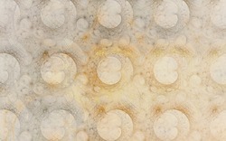 2014 04 21 Slightly Blue 19-white.jpg